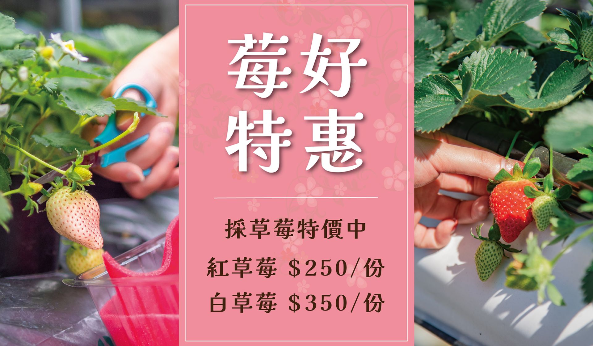 未命名-1_工作區域 1(1)